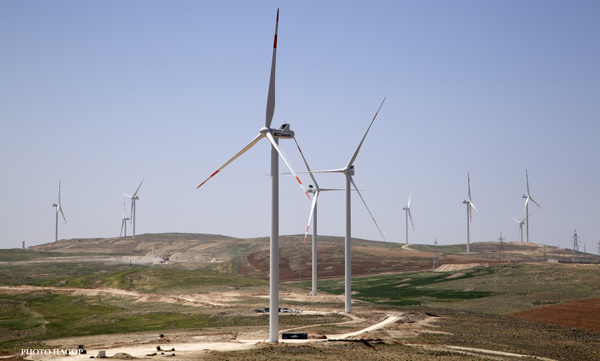 Tafileh Wind Farm is the first wind farm in the Kingdom to start providing electricity generated by renewable wind power to the national electric grid (Photo courtesy of the Jordan Wind Project Company)